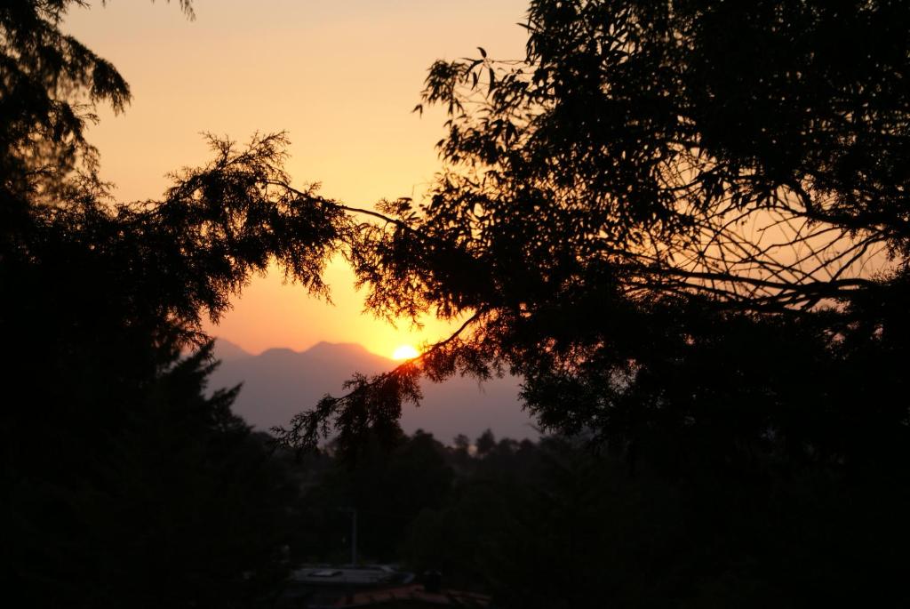 a sunset seen through the silhouettes of trees at Cabaña El Tigrito in Quiroga