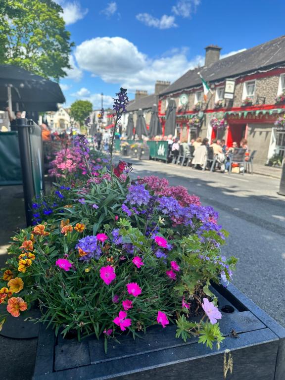 a bunch of flowers in a box on the street at Malahide Guest Rooms in Malahide