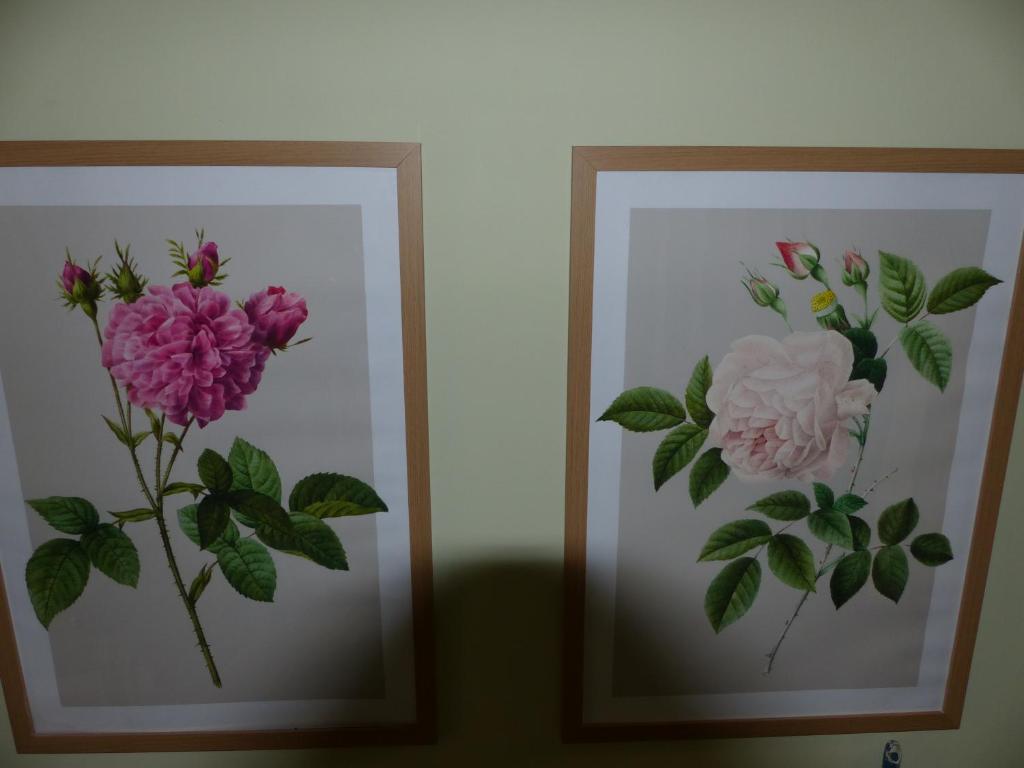 Marldon Olympia Hotel - Resim 43