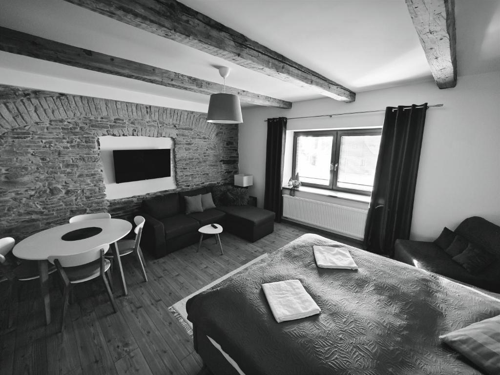 TV a/nebo společenská místnost v ubytování APARTMÁNY 91 Boží Dar