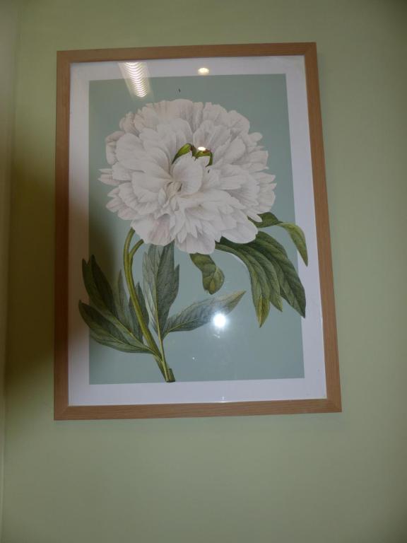 Marldon Olympia Hotel - Resim 28