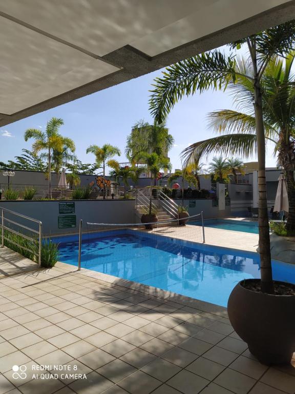 una piscina con una palmera en un patio en Serra Park Reservas, en Rio Quente
