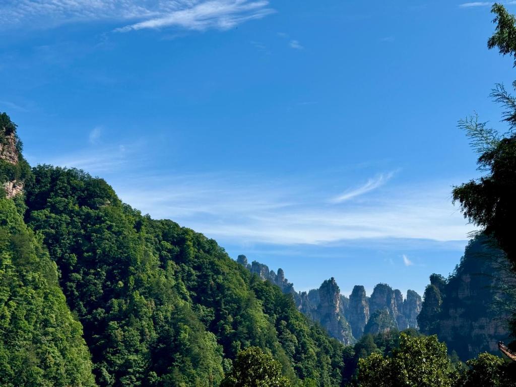 Peisaj natural din apropierea acestei camere de închiriat