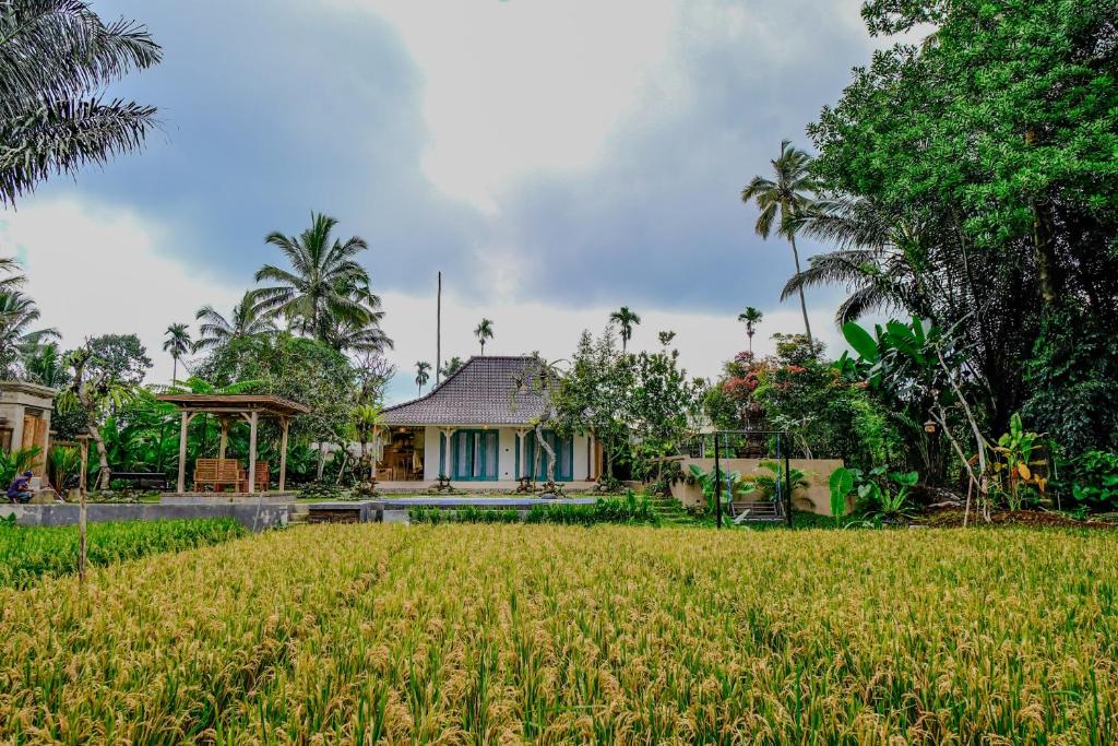 Zahrada ubytování D'Pondok Sangaji Ricefield View by EPS