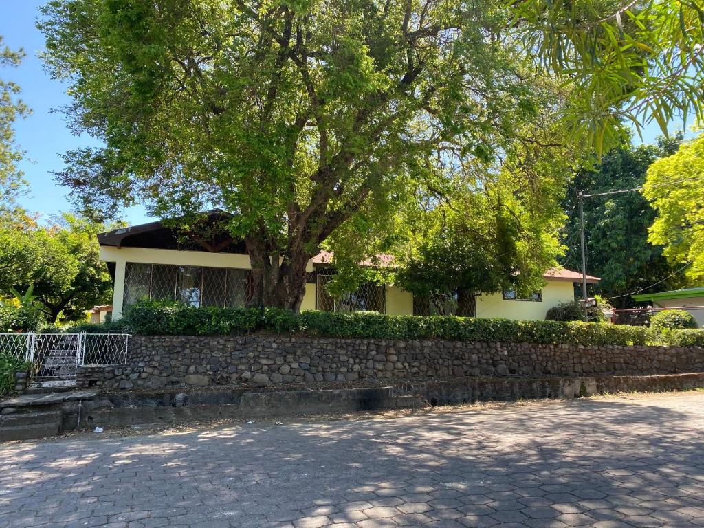 Κήπος έξω από το La Casa de doña Nena