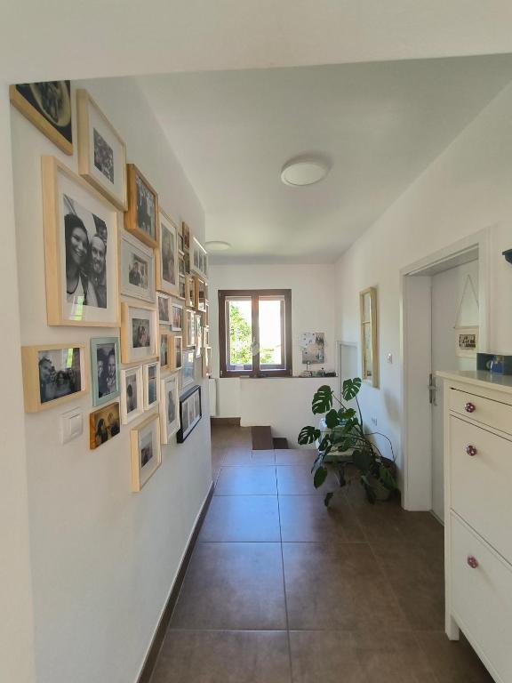 Fotografie z fotogalerie ubytování Glasbeni atelje Tri ptičice v destinaci Kranj
