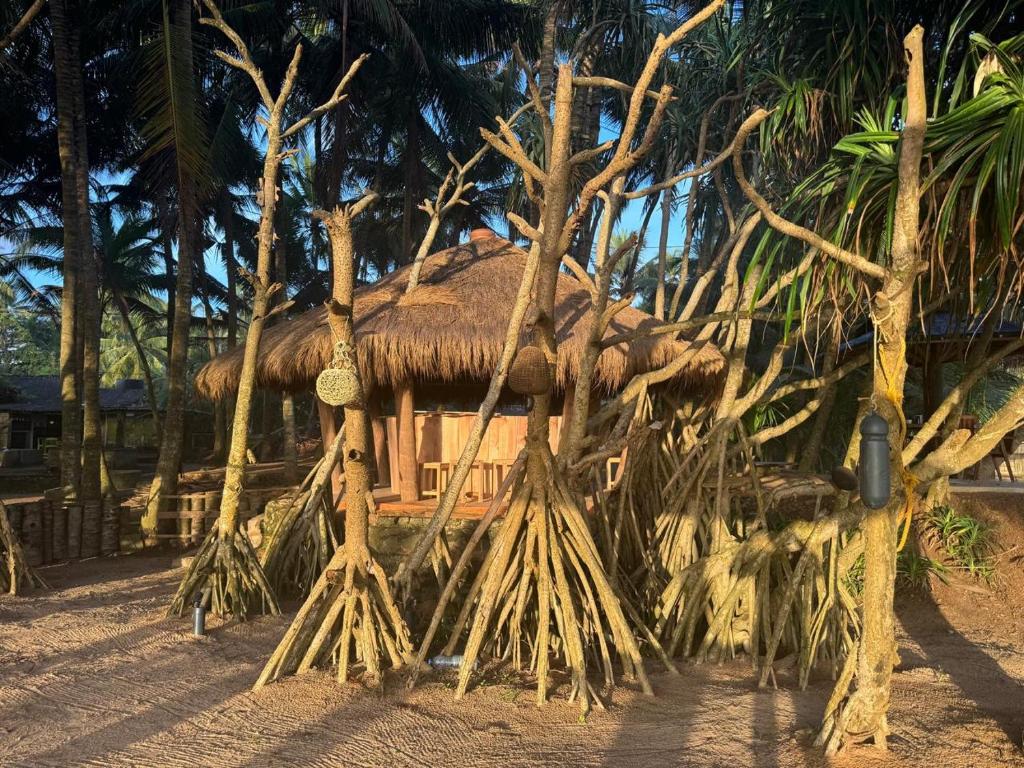 Fotografie z fotogalerie ubytování Coconut Bar v destinaci Bentota
