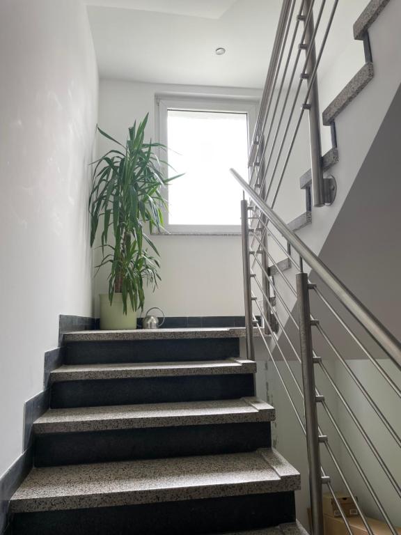 Fotografie z fotogalerie ubytování Casa Lobo v destinaci Bochum