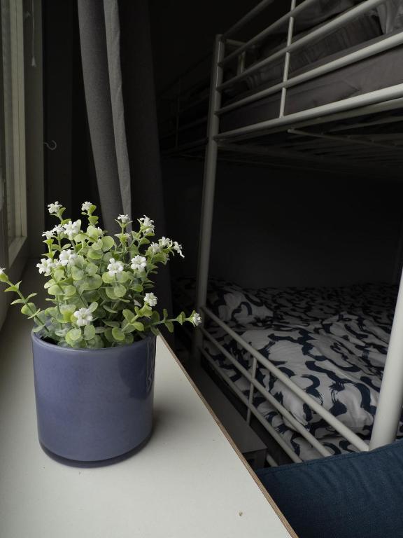 Lepopaikka Lokinpesä, Majoitus ja Camping - Chambre Familiale Avec Salle De Bains Commune
