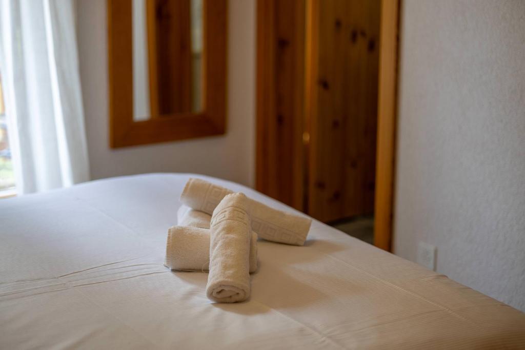 Victoria - real ski-in ski out, great view - Resim 11