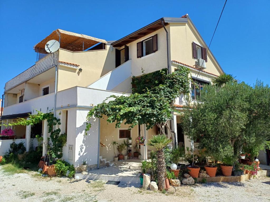 a house with plants in front of it at Apartmani Saška 1 in Privlaka