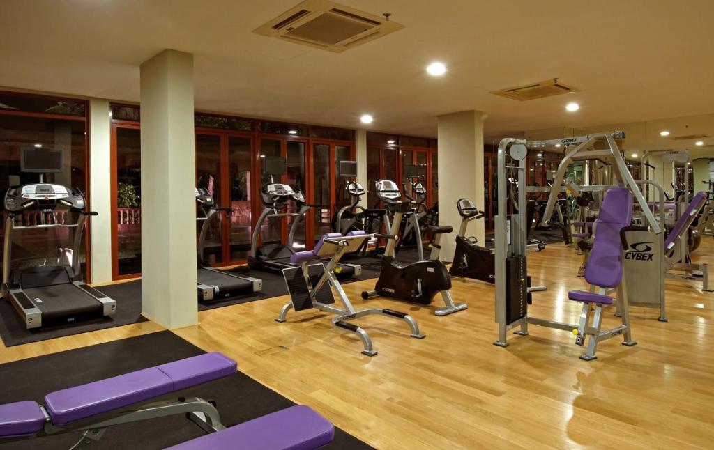 Fitness centrum a/nebo fitness zařízení v ubytování The Chateau Spa & Wellness Resort