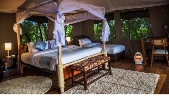 Luxurious haven maasai mara safari camp in kenya 객실 침대