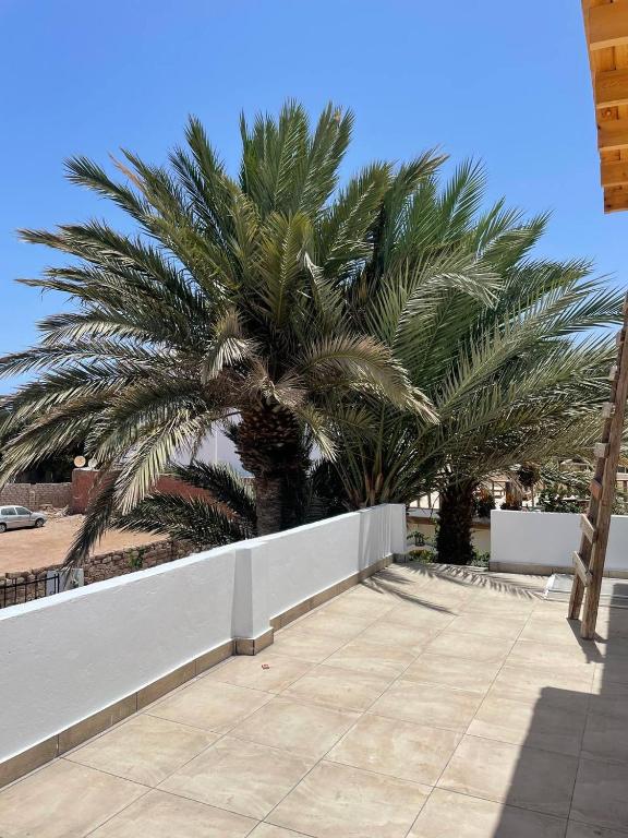 Fotografie z fotogalerie ubytování Villa Vovan v destinaci Dahab