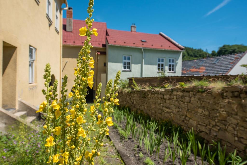Zahrada ubytování Apartmány Pod starou věží