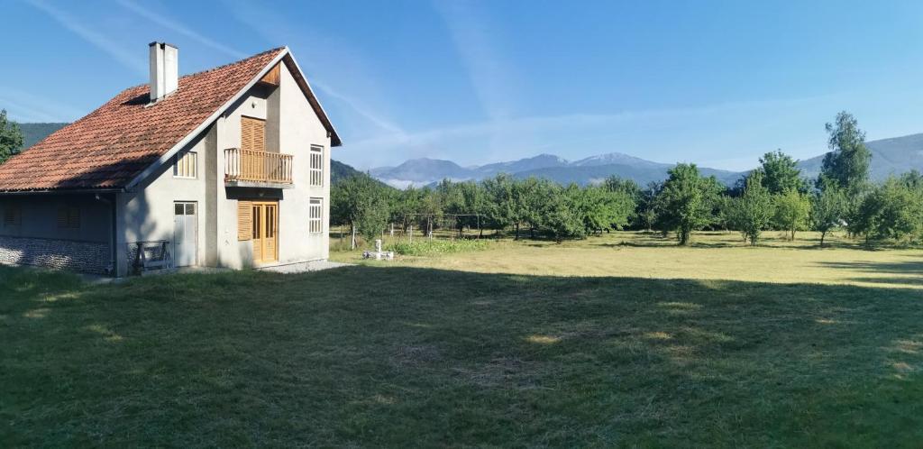 Příroda nedaleko apartmánu