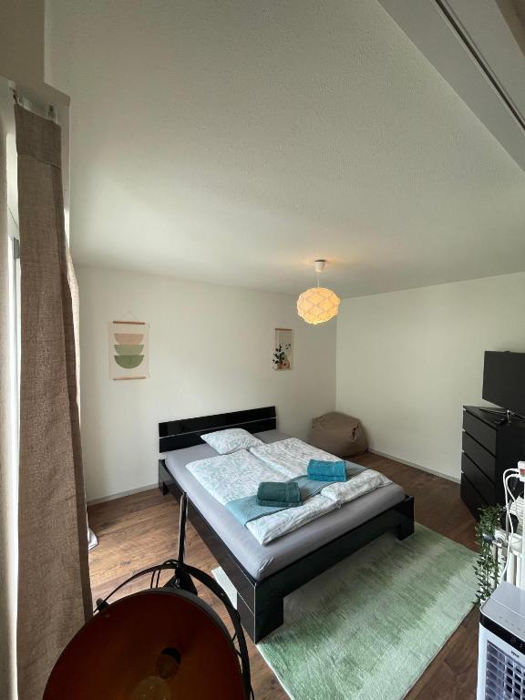 a bedroom with a bed in a room at Sonniges Bodensee-Balkonidyll in Arbon