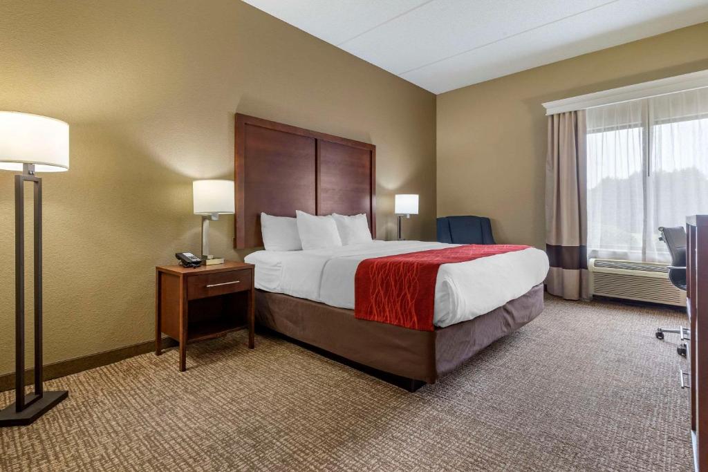 Comfort Inn & Suites Mocksville I-40 - Camera King - Accesso Disabili/Non Fumatori