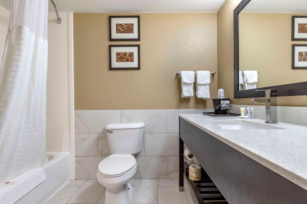 Comfort Inn & Suites Mocksville I-40 - Suite Mit Kingsize-Bett Und Schlafsofa