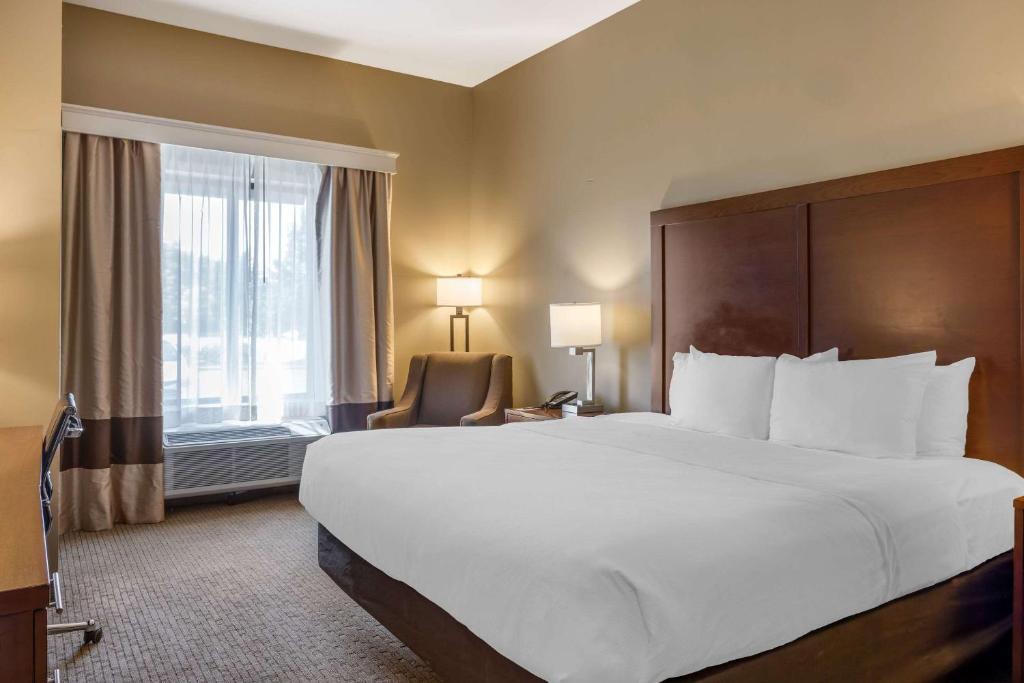Comfort Inn & Suites At CrossPlex Village photo