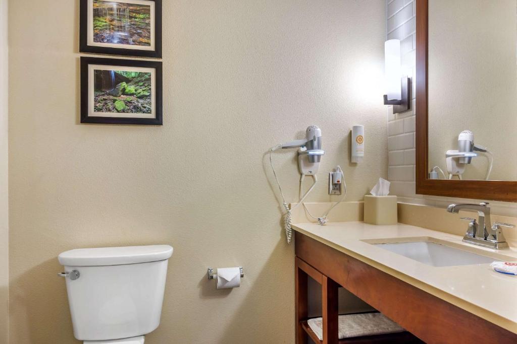 Comfort Inn & Suites At CrossPlex Village photo