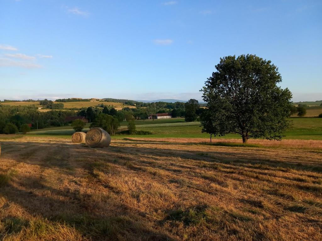 Príroda v okolí dovolenkového domu