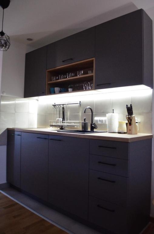 Kuchyň nebo kuchyňský kout v ubytování Penthaus apartman NOVAK