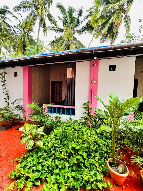 Zahrada ubytování Blue Mirage Palolem Goa