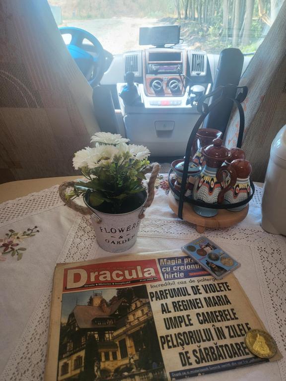 Fotografie z fotogalerie ubytování RV Draculas trip v destinaci Constanţa
