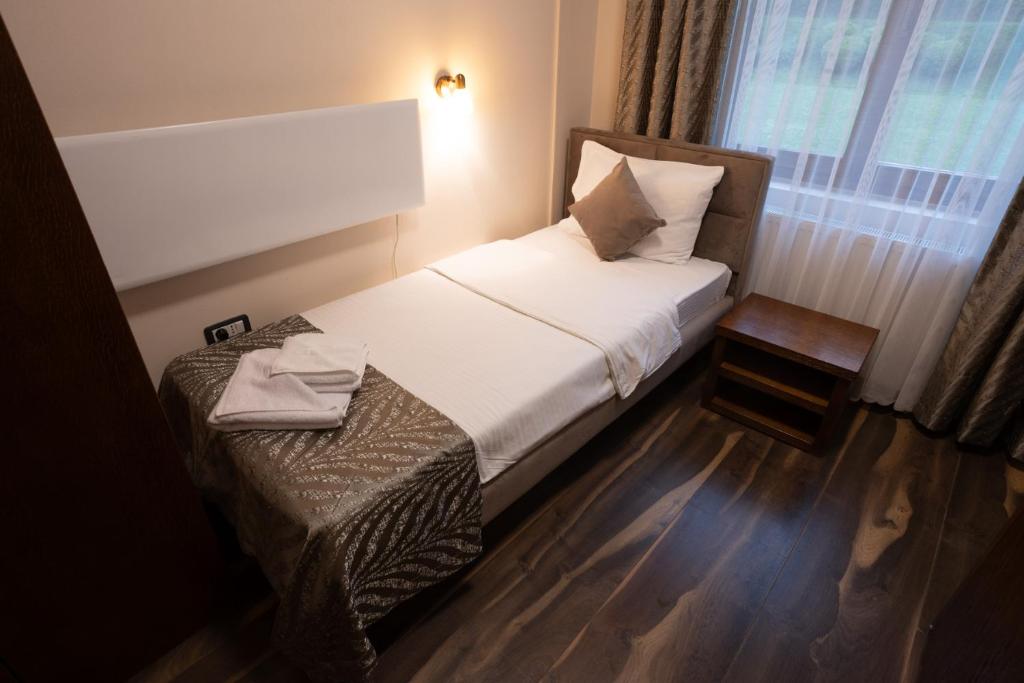 Hotel RAS Pazarište - Single Room