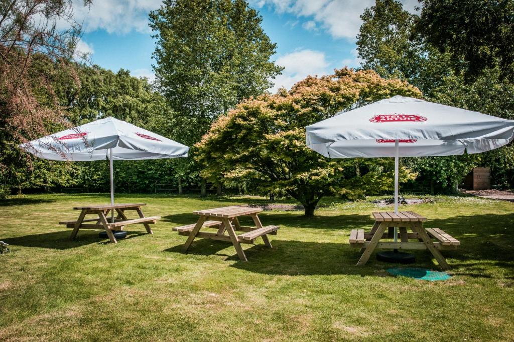 The Barking Buck - Resim 13