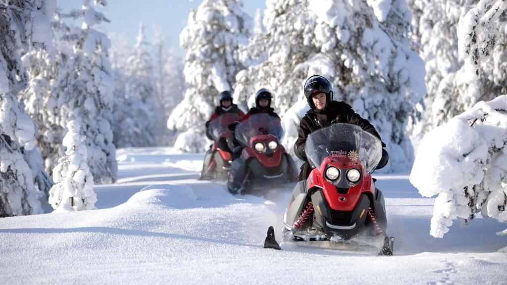 SKOG Aurora igloos v zimě