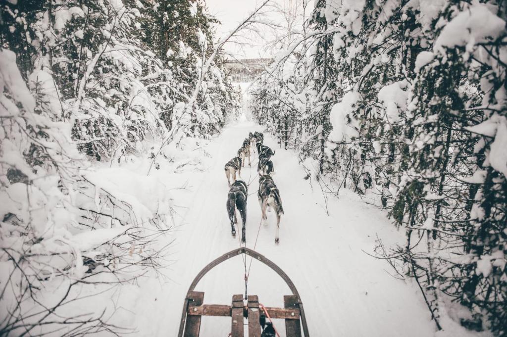 SKOG Aurora igloos v zimě
