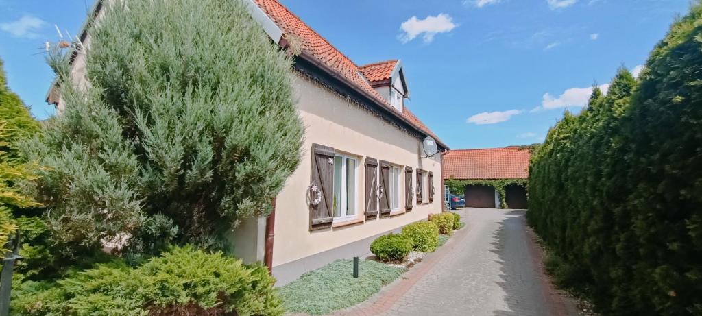 Κήπος έξω από το Malbork ,,Na poddaszu"