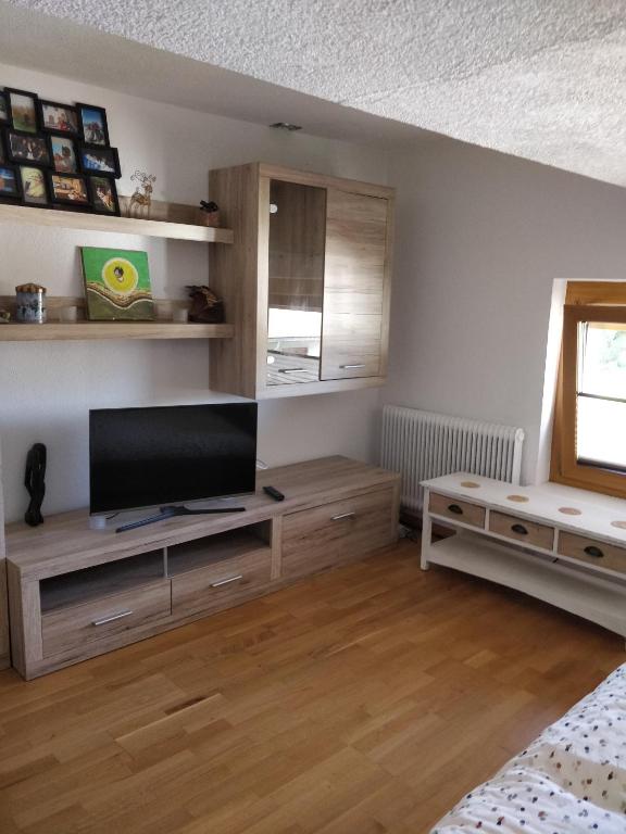 un soggiorno con TV a schermo piatto su un centro di intrattenimento di Kurort Tirol a Bad Häring