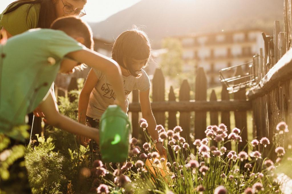 Hosté ubytování Family Hotel Serena