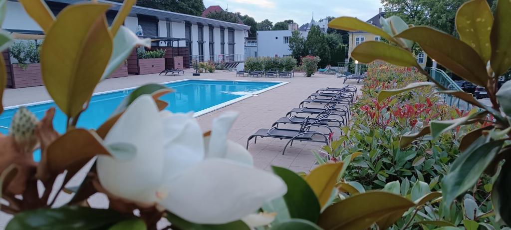 Éden apartman