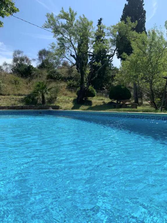 une grande piscine d'eau bleue avec des arbres en arrière-plan dans l'établissement Les Citronniers, à Saint-Montan