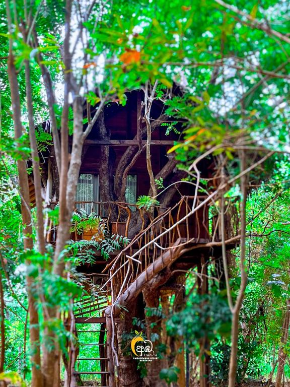 Habarana Tree House Ambasewana Resort - 1