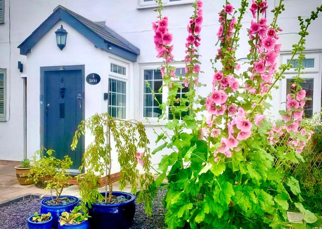 18th Century Cottage with Stunning Garden Views - Housity