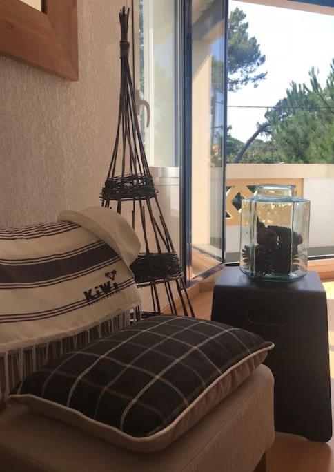 une pièce avec un oreiller et un aquarium sur une table dans l'établissement Appartement T2 Les papillons, à Arcachon