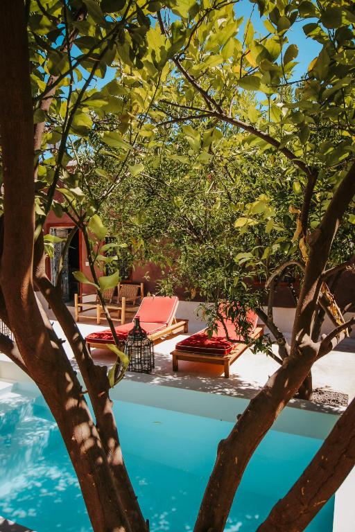 Bazén v ubytování Hotel & Spa La Ferme El Dar nebo v jeho okolí
