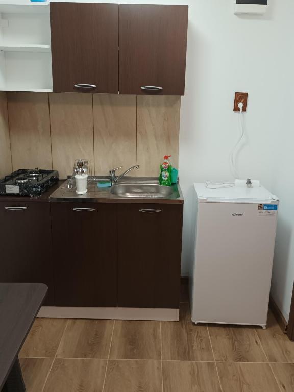 Kuchyň nebo kuchyňský kout v ubytování Panoramic House