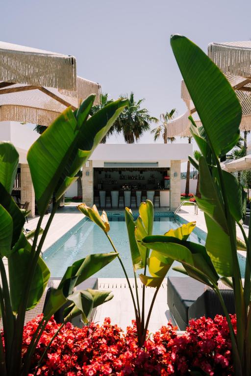 a view of a pool at a resort with plants at Kallithea Village hotel in Kallithea Halkidikis