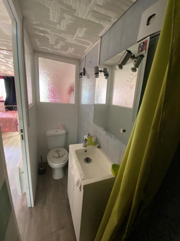 łazienka z umywalką i toaletą w obiekcie Joli Maison calme 10 Mn de Paris st LAZARE w mieście Argenteuil