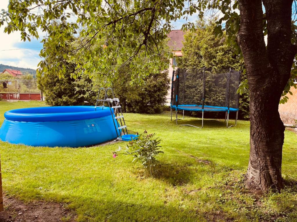 Bazén v ubytování Ubytování pod třešní nebo v jeho okolí