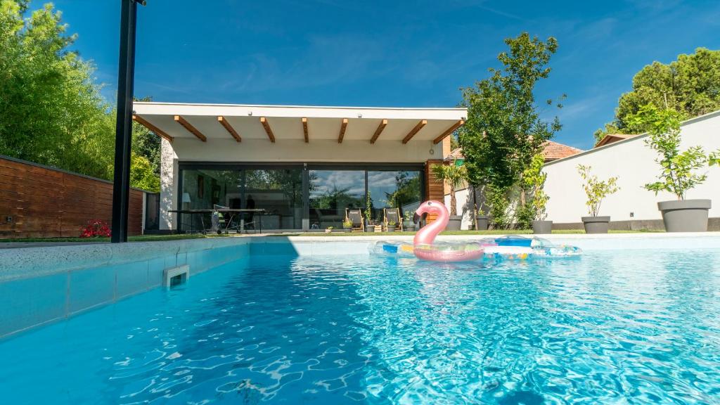 Gallery image of New Villa with swimming pool in Petrovaradin