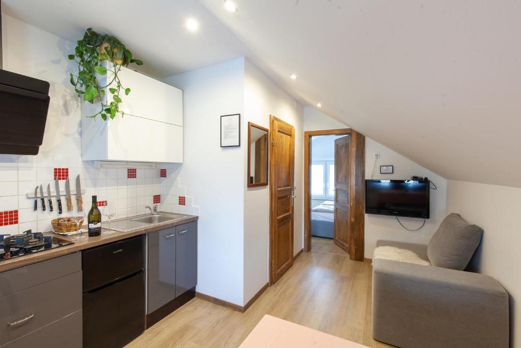 Apartments Kosir - One-Bedroom Apartment With Balcony