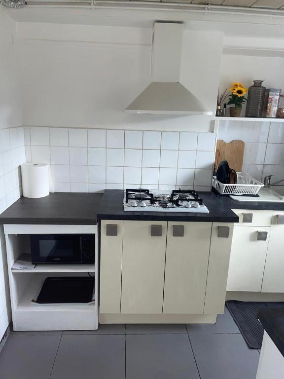 Kuchyň nebo kuchyňský kout v ubytování Residence MH Lyon