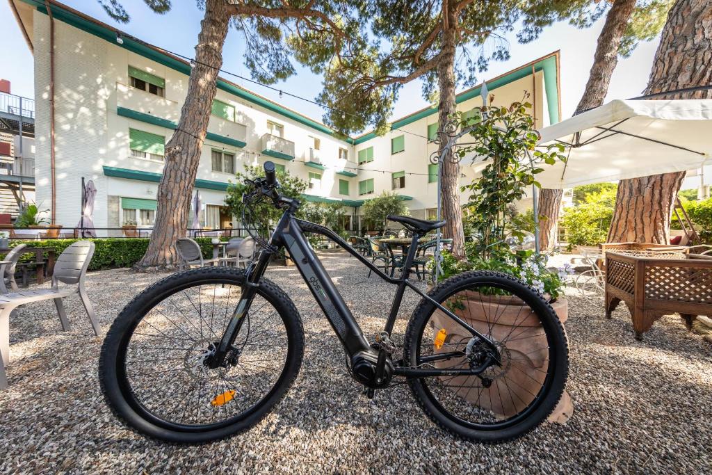 rower zaparkowany przed budynkiem w obiekcie Hotel Massimo w mieście Marina di Cecina